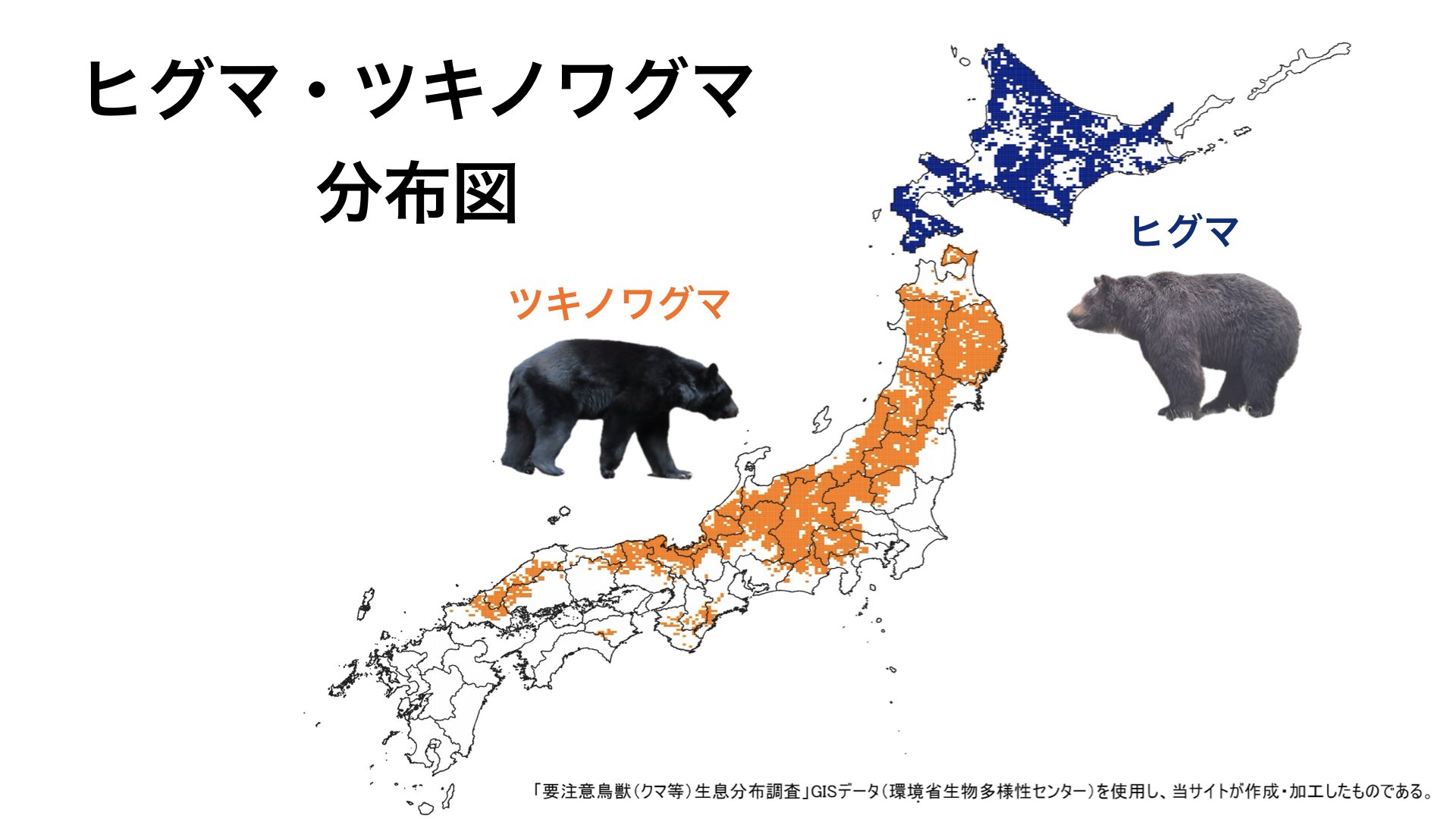 ヒグマ・ツキノワグマによる人身事故の特徴｜クマ遭遇時の対処法｜ツキノワグマ生態NAVI